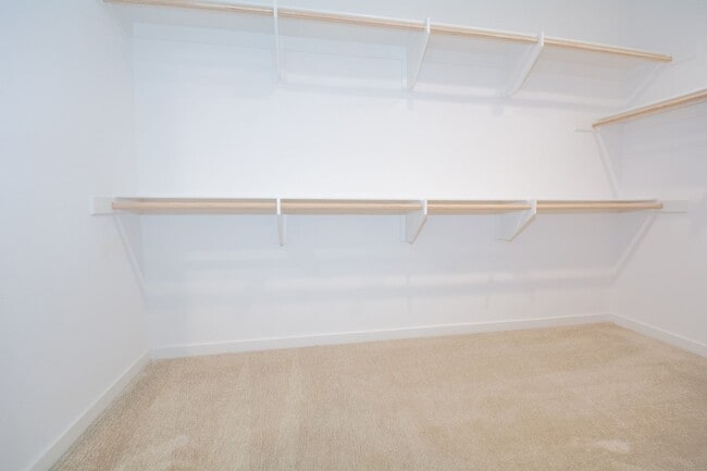Building Photo - 7039 Mallow Dr