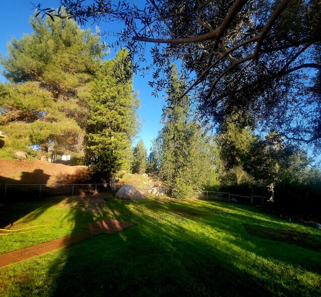 Large yard with mature trees including producing olive & lemon trees and tranquility - 16139 Ladera Piedra Way