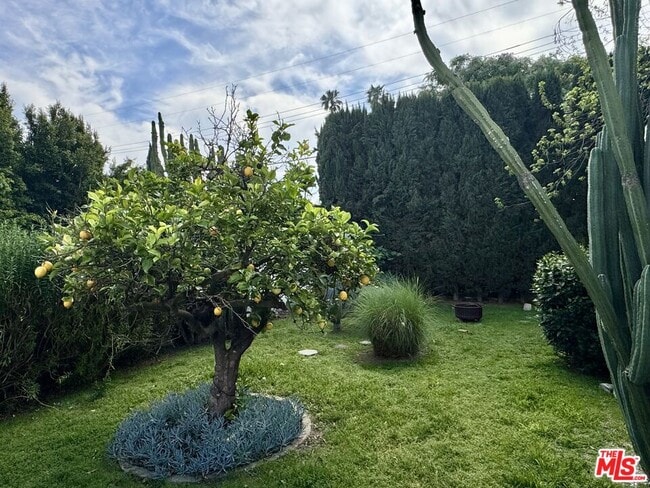 Building Photo - 3564 Dover St