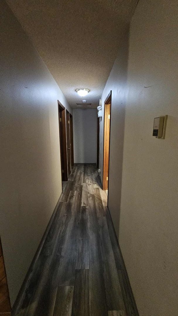 Building Photo - Beautiful House with 2 Wood Stoves across ...