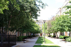 Building Photo - Perkins Square