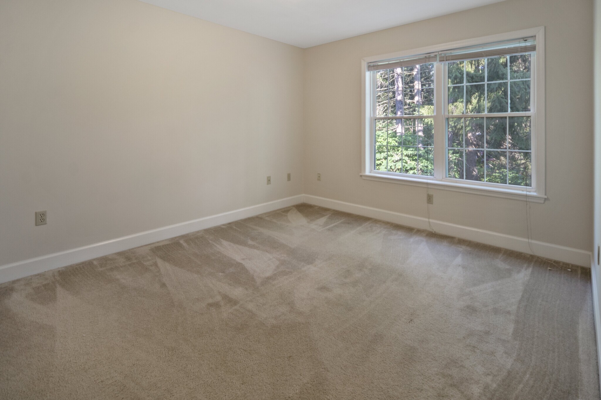 Second Bedroom-2 - 820 Hanshaw Rd