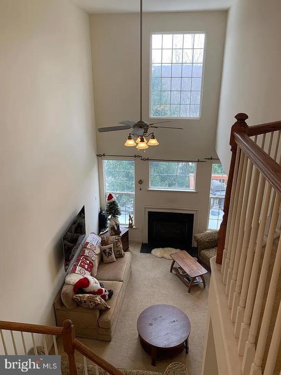 Building Photo - 175 Fringetree Dr