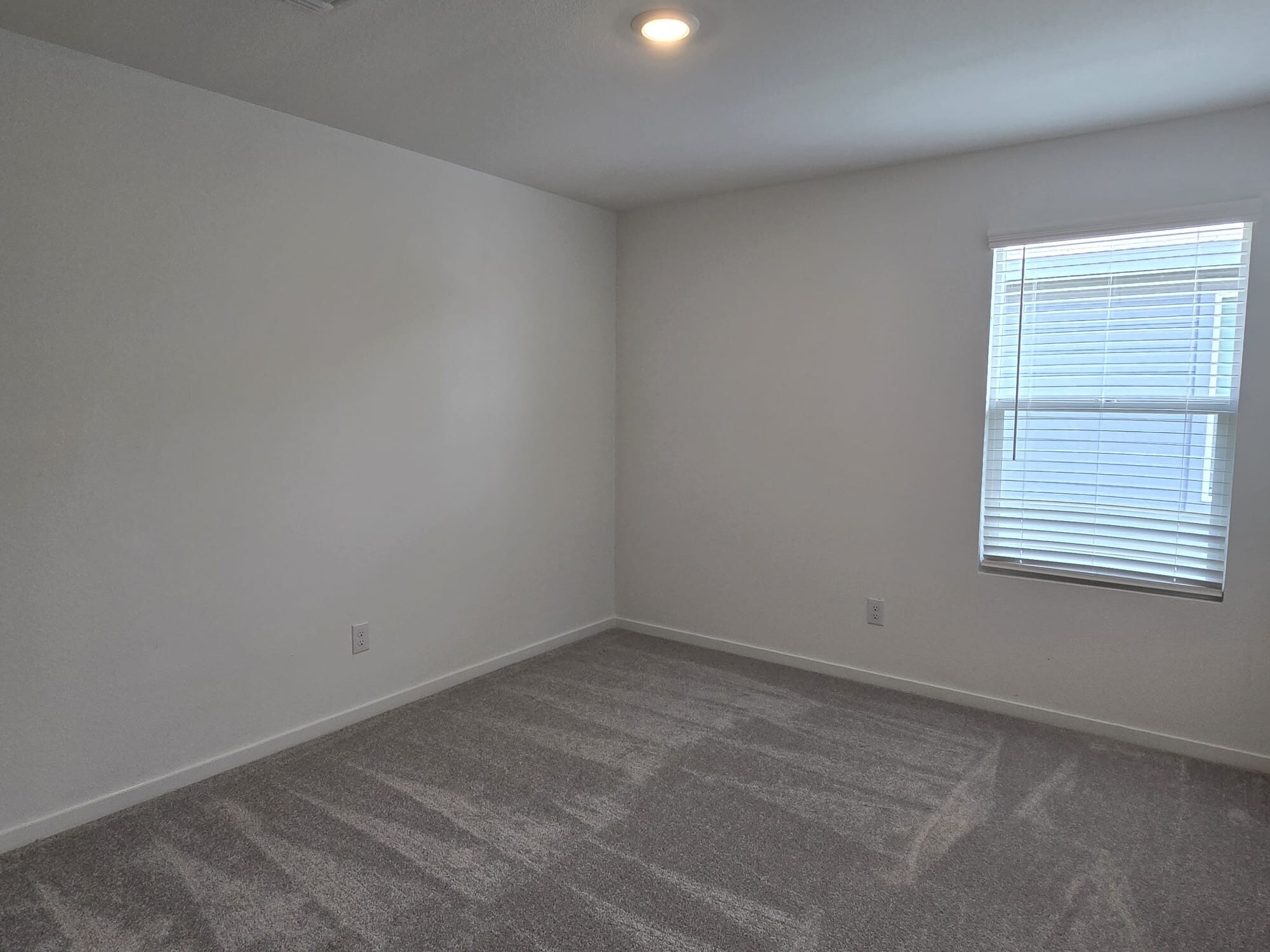 Building Photo - 1305 Salton Ln