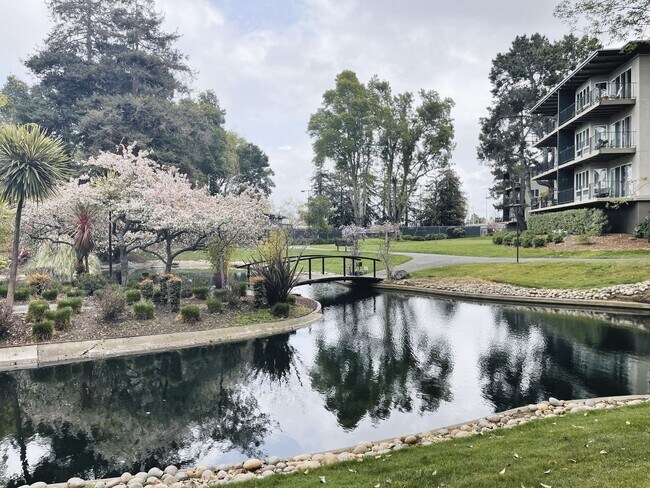 Building Photo - Resort like living in the prime location of San Mateo