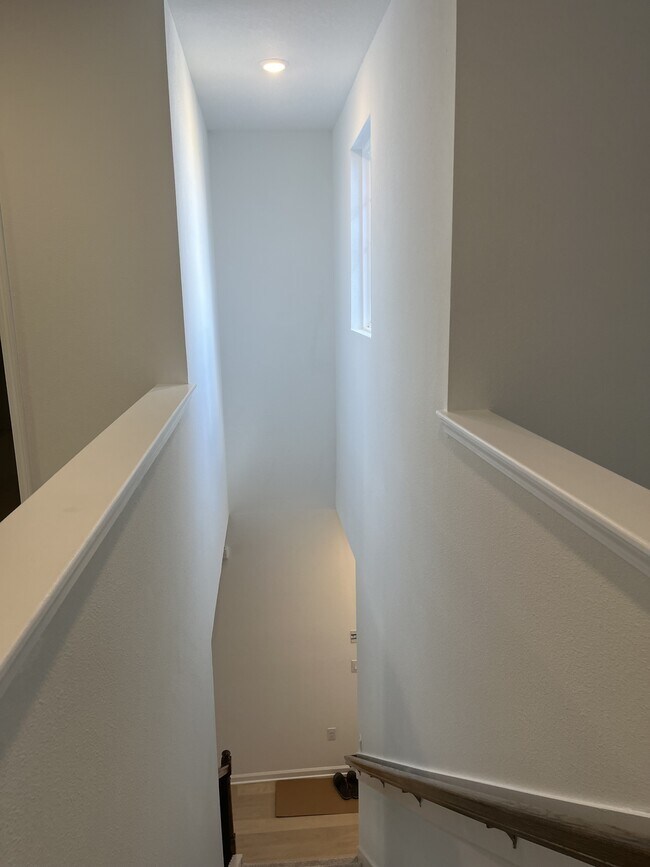 Building Photo - 207 Silver Myrtle Ct