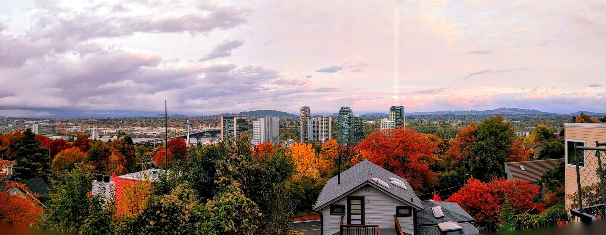 Fall - 3701 SW Condor Ave