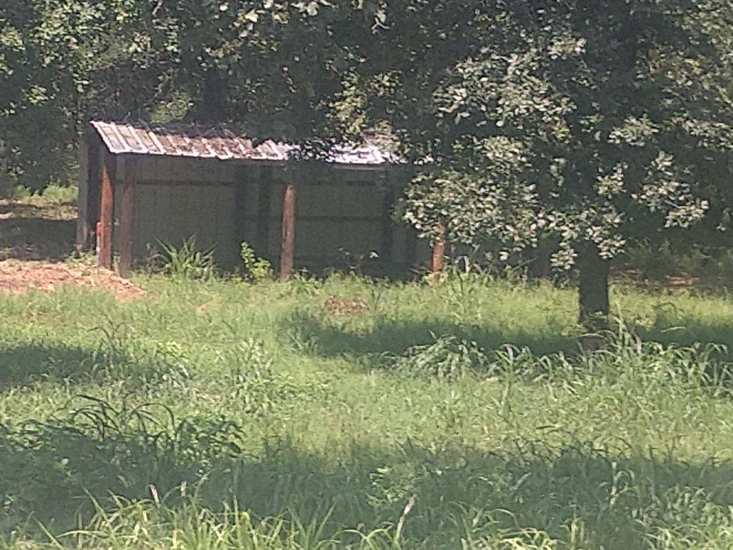 Building Photo - 14855 E Etowah Rd