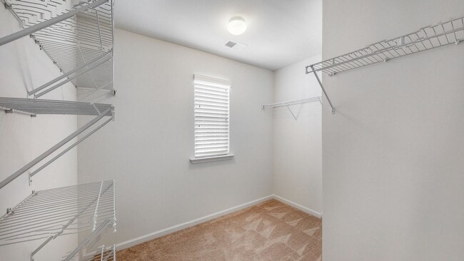 Building Photo - 5 Bedrooms, 3 Bathrooms in Richmond Hill P...