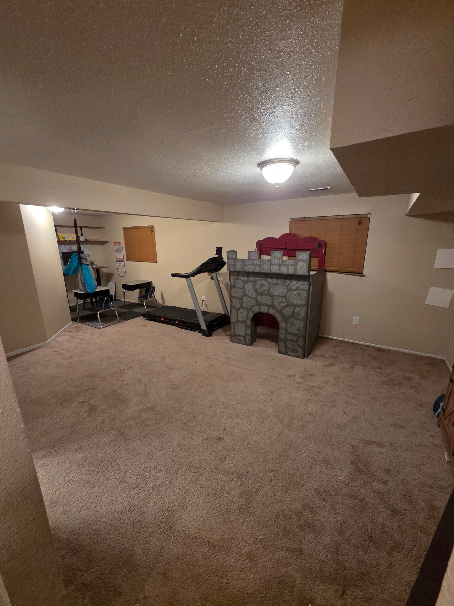 Basement Family Room - 4701 S Turnberry Pl