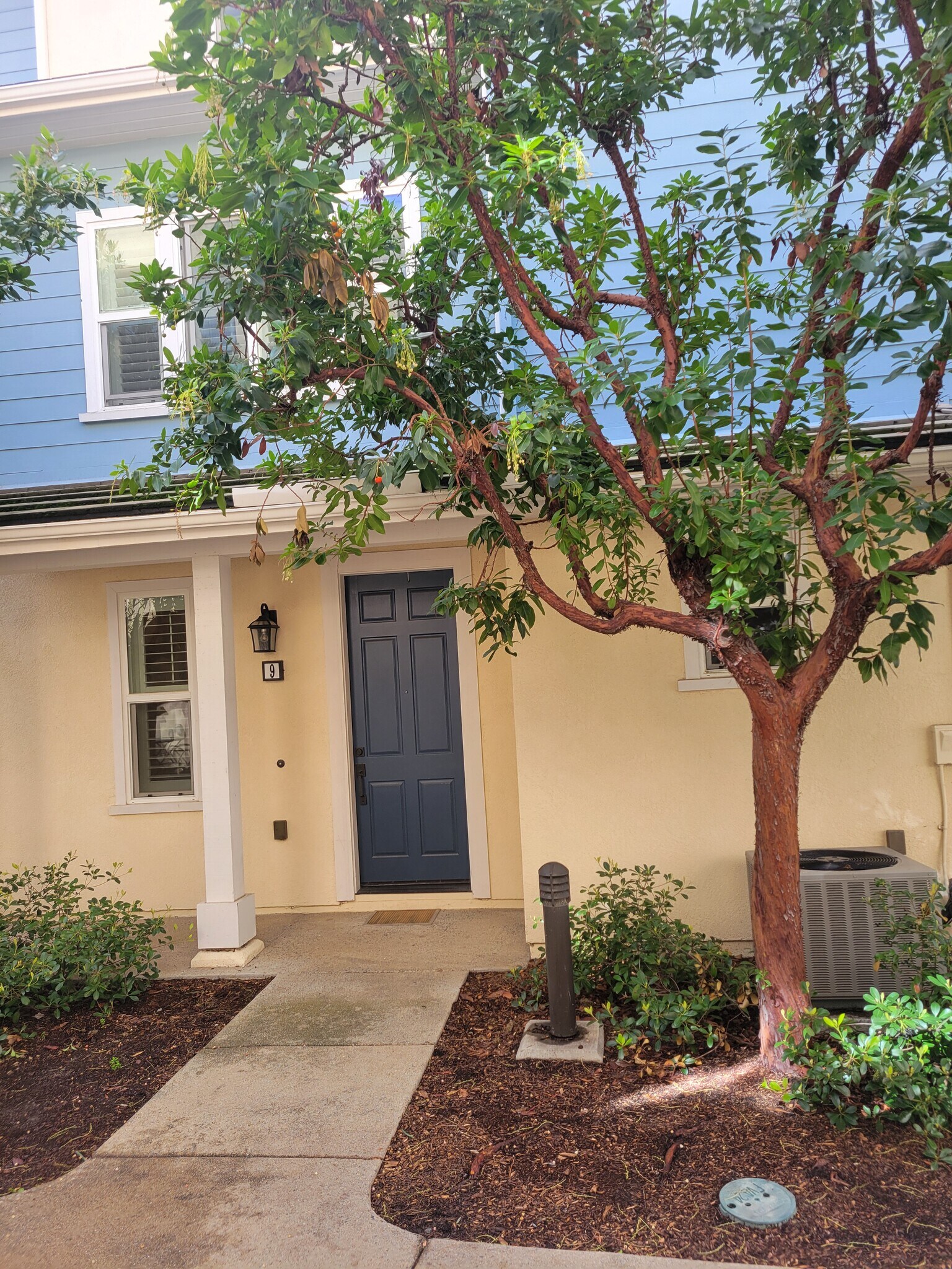 Building Photo - 4369 Pacifica Way