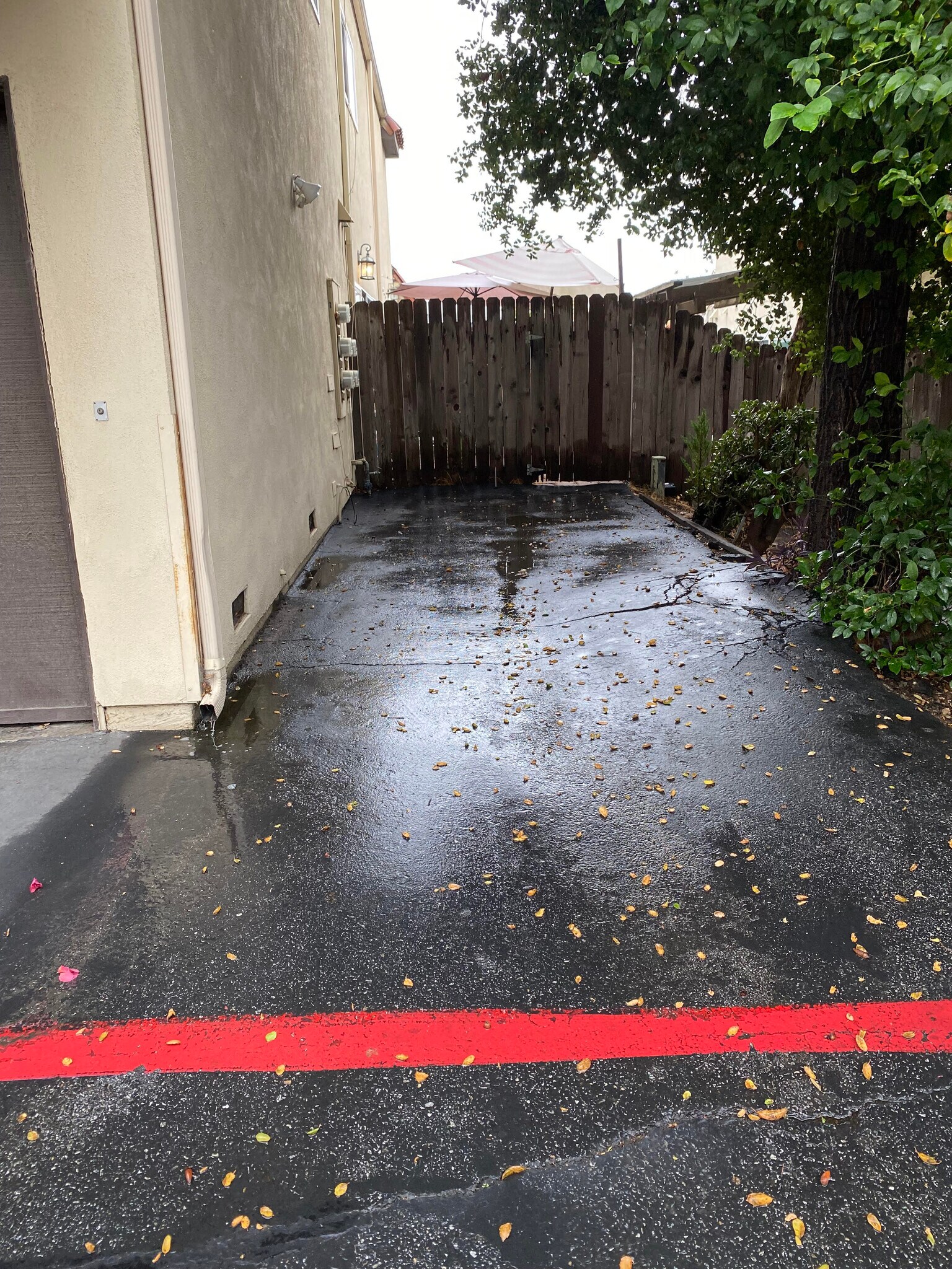 Building Photo - 1445 1st St