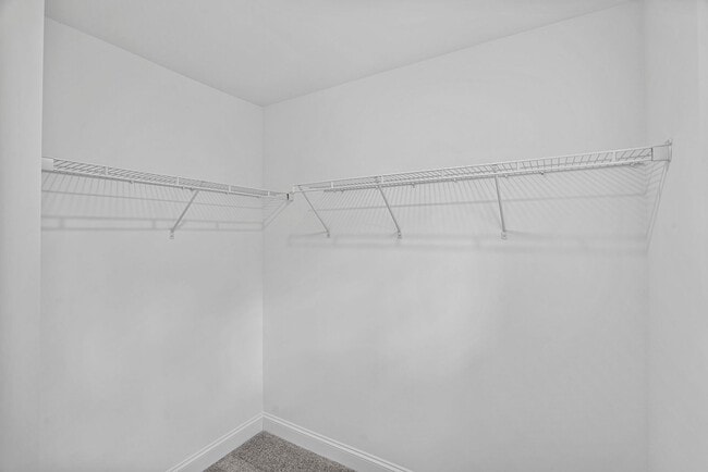 Building Photo - Minutes to Uptown, NoDa & Camp North End