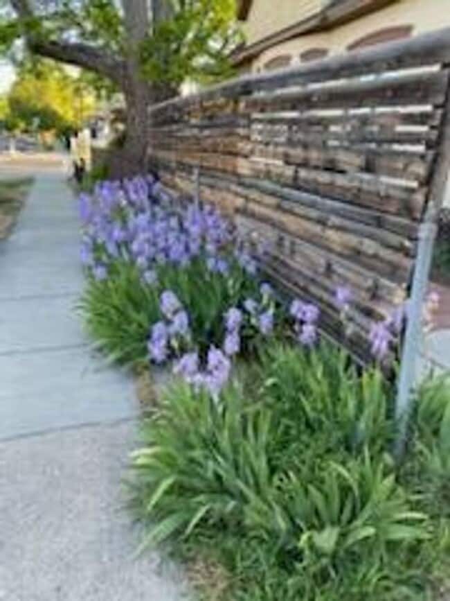 Building Photo - Charming 2-Bedroom Home in The Avenues!
