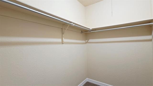 Building Photo - 2400 Jupiter Rd