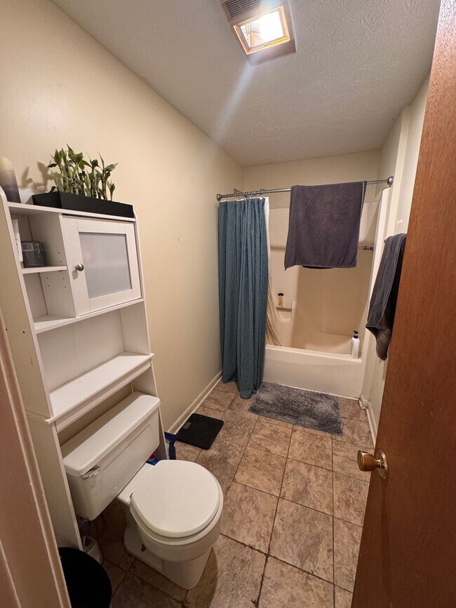 Building Photo - 5 BR 3 full BA House