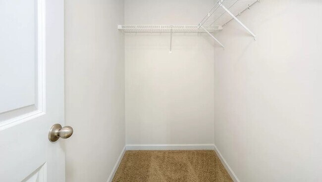 Building Photo - Spacious Newer Construction In Candler