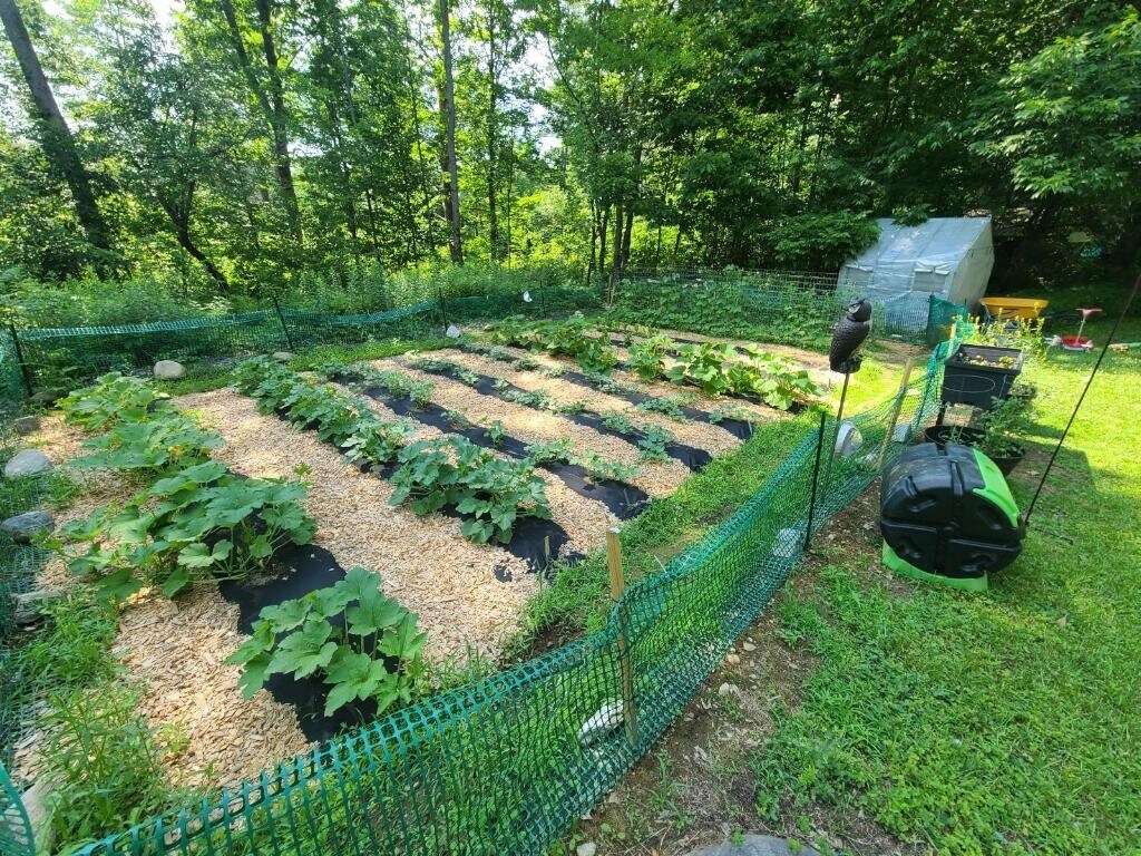 Garden plot from a previous tenant - 82 Dill Rd