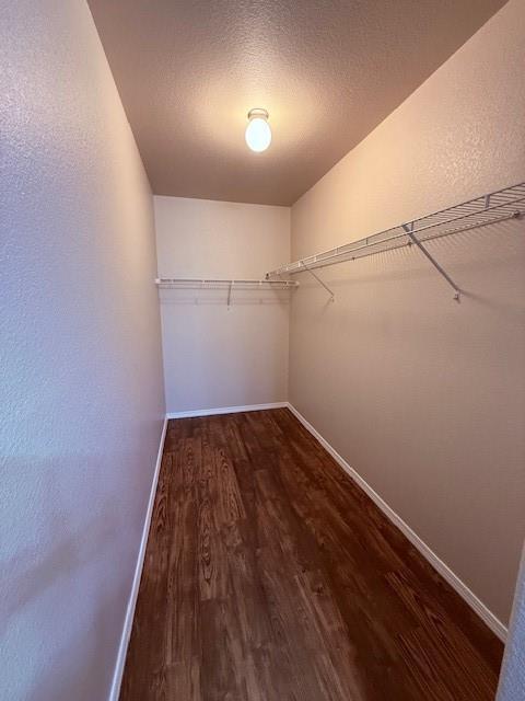 Building Photo - 610 Saddlehorn Dr