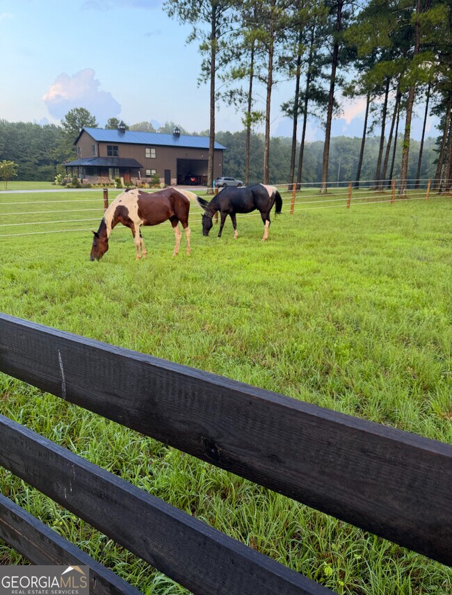 Building Photo - 950 Island Shoals Rd