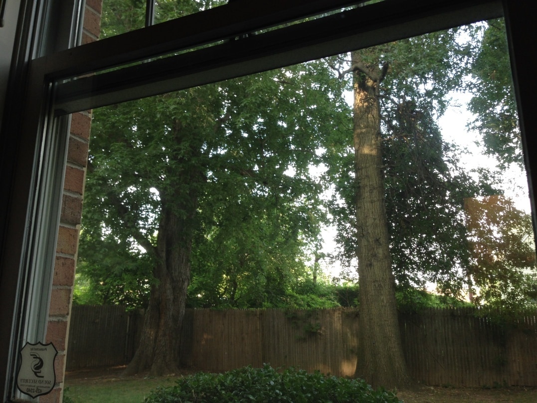 Building Photo - 45 John St