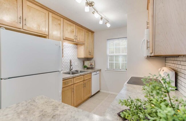 Building Photo - 808 Kalanchoe Ct