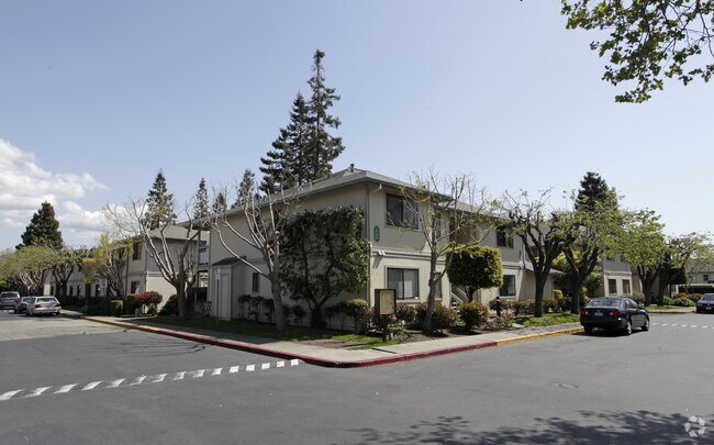 Primary Photo - Amberwood Garden Apartments