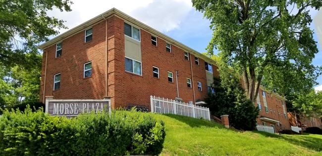 Primary Photo - Morse Plaza Apartments