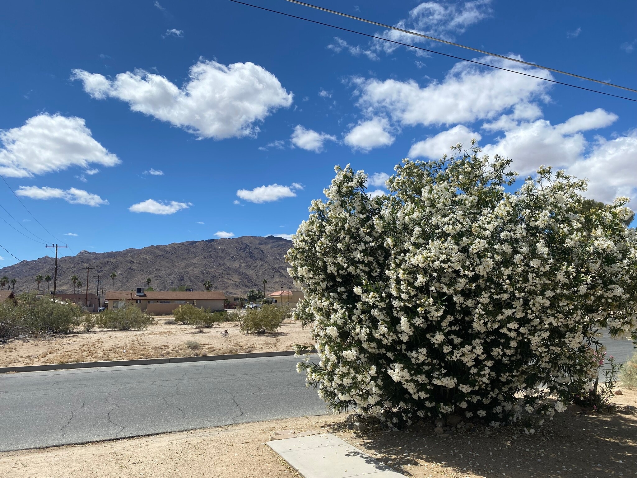 Building Photo - 6393 Desert Queen Ave