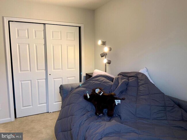 Building Photo - 311 Stafford Ct