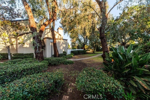 Building Photo - 923 Lombard Ct