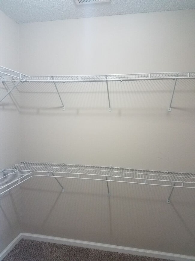 Building Photo - Beautiful 3 Bedroom in Quiet Neighborhood