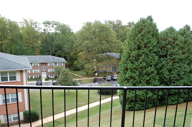 Building Photo - BEL AIR - HICKORY HILLS CONDO