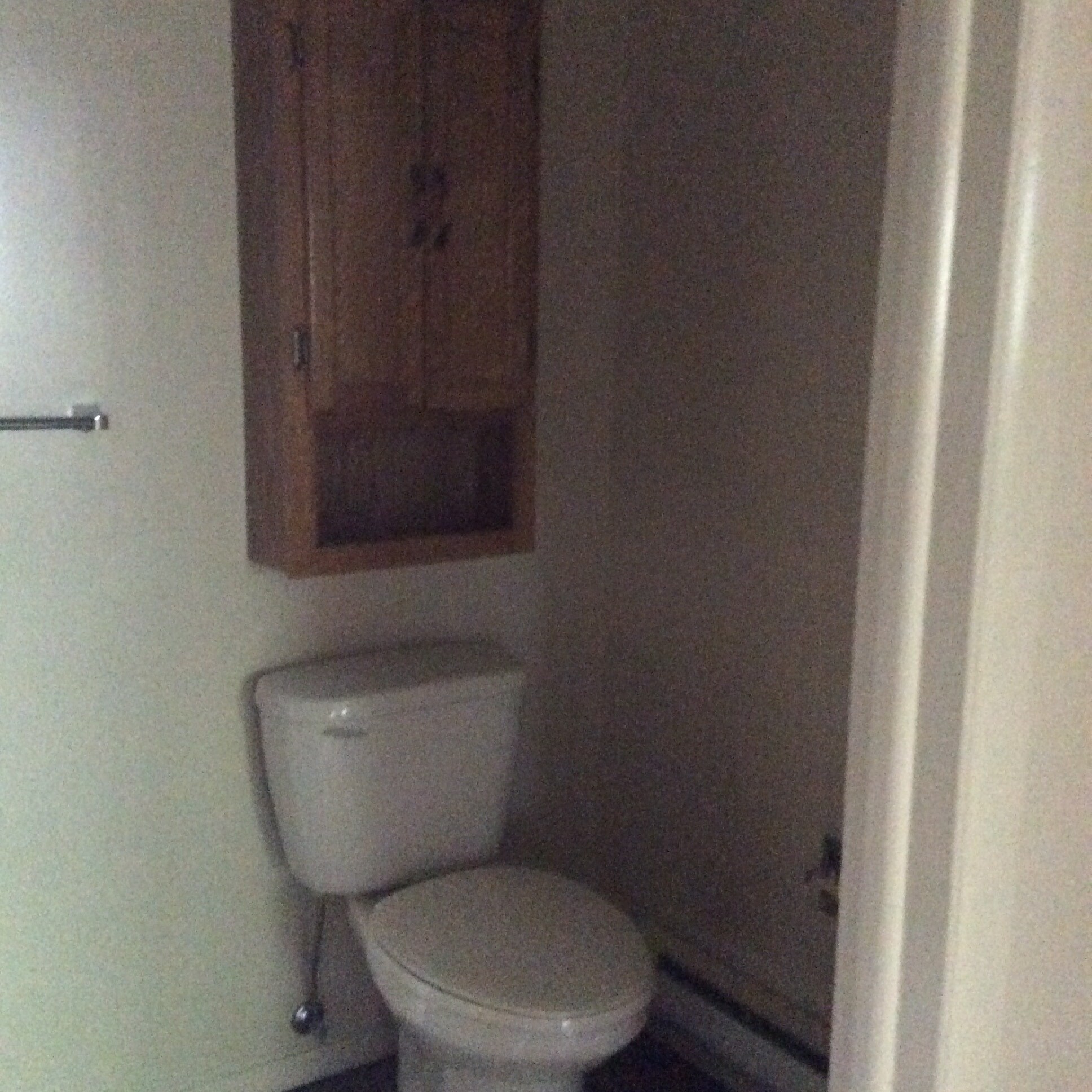 Half Bath - 220 N Fanning Way