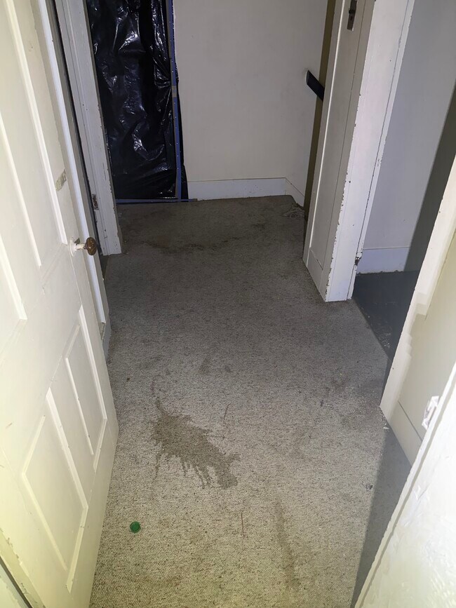 Building Photo - 206 Masters St