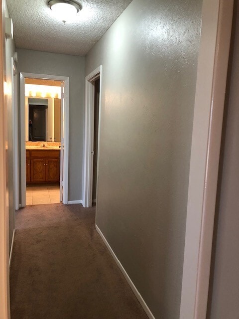 Building Photo - 211 Tejas Dr