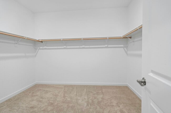 Building Photo - 3278 Vallonea St