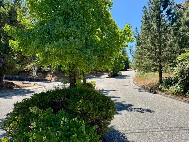Building Photo - Spacious 3 bedroom, 3 bath bi-level home nestled in the scenic Sierra Nevada foothills