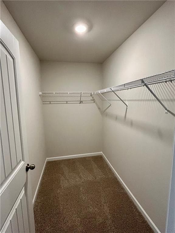 Building Photo - 5137 Tulip Sq