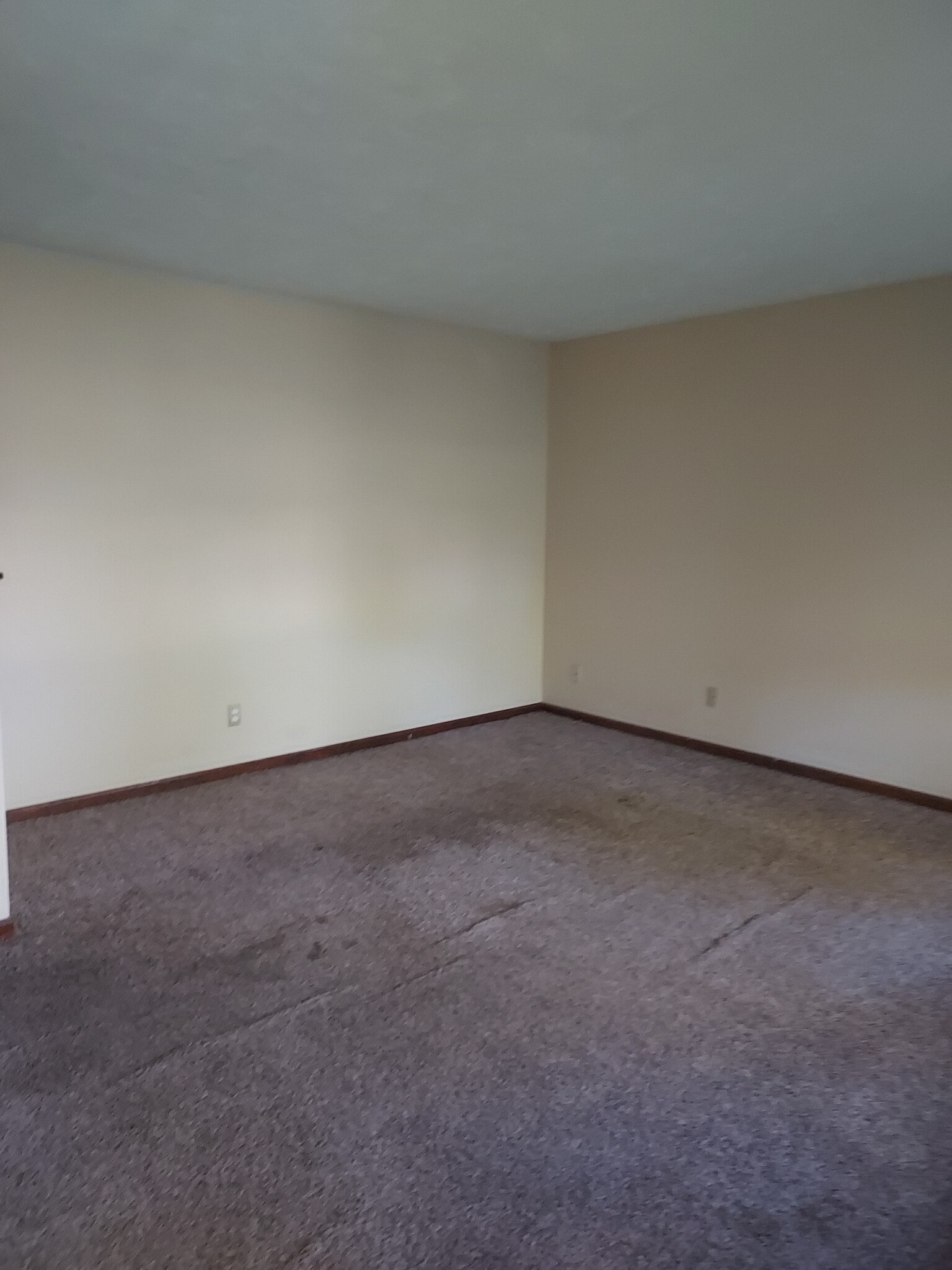 Building Photo - 6817 Holly Lake Dr