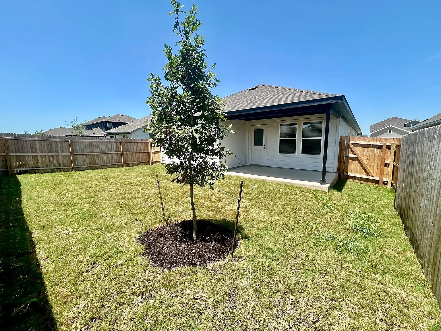 Backyard - 964 Heartseed Ave