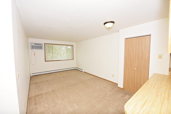 Livingroom - 411 5th Ave S