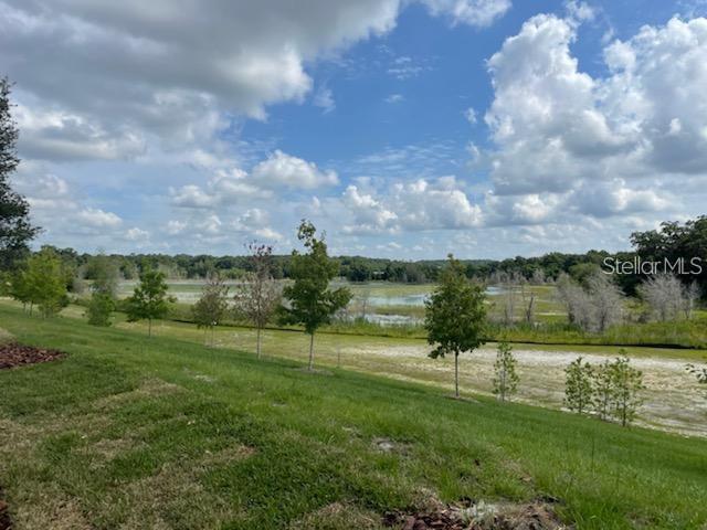 Building Photo - 2332 Litchfield Lp