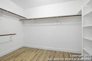 Building Photo - 7442 Tall Cedar