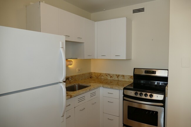 Building Photo - 1460 N Sandburg Terrace