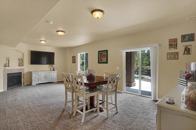 Basement - 4847 Steamboat Lake Court