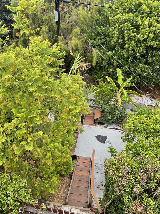 View - terraced backyard to canyon - 5456 Gilbert Dr