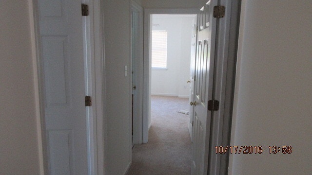 Building Photo - 113 Amelia Ct