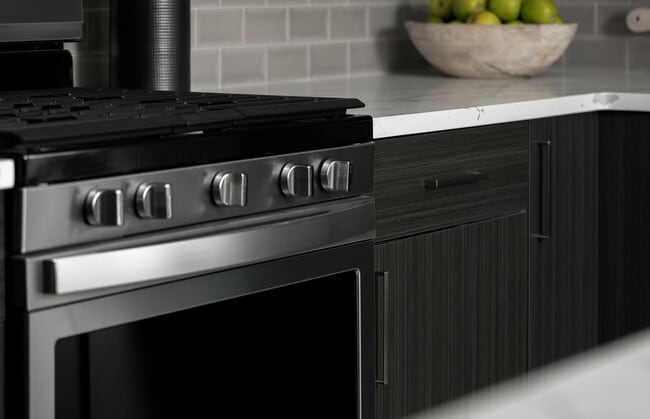 Elegant kitchen with sleek stainless steel oven and modern slow close cabinetry. - 30 Court Street Apartments