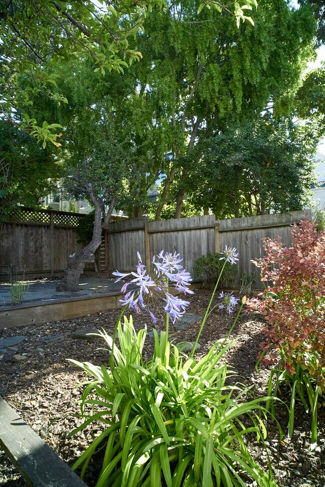 Building Photo - 3918 24th St